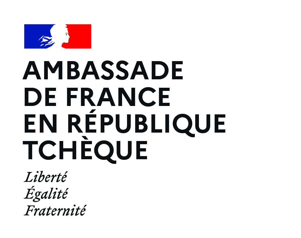 ambasada Logo
